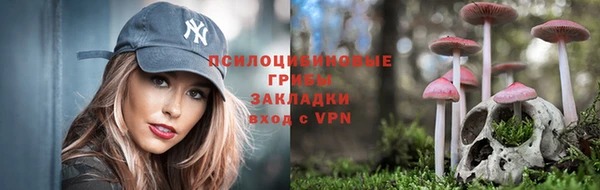 дурь Каменногорск