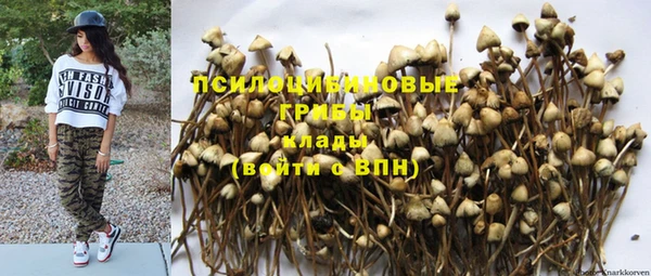 альфа пвп Каменск-Шахтинский