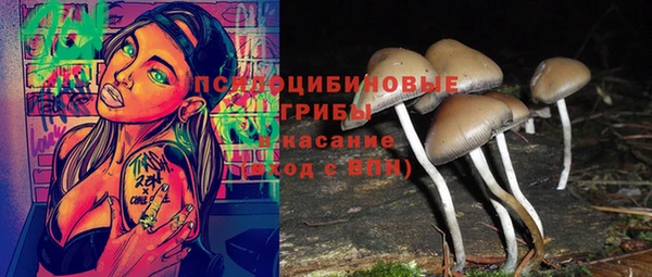 дурь Каменногорск