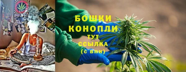 гашик Касимов