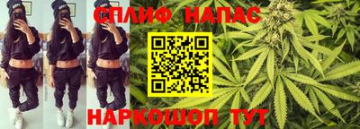 индика Балашиха