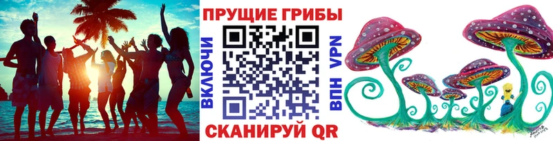 Галлюциногенные грибы Magic Shrooms  Великий Новгород 