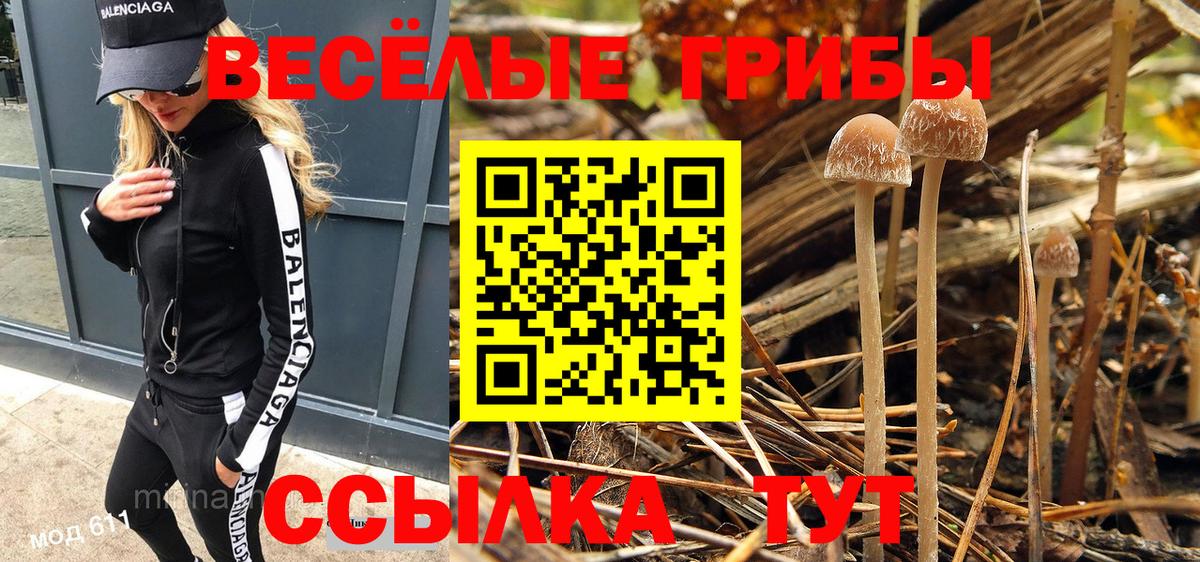 Галлюциногенные грибы Psilocybine cubensis Великий Новгород