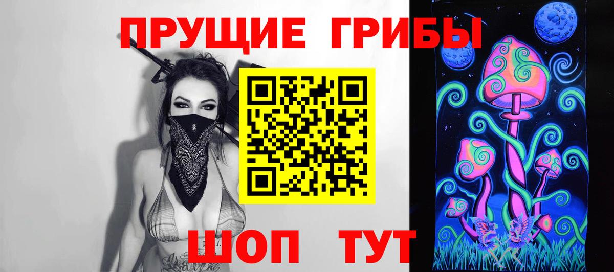 Великий Новгород  Псилоцибиновые грибы Psilocybine cubensis  Вход с VPN 