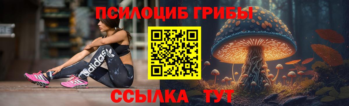 Псилоцибиновые грибы Magic Shrooms  Великий Новгород 