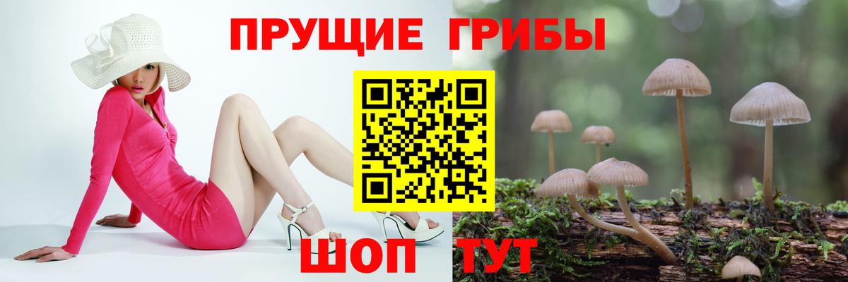 Галлюциногенные грибы ЛСД Великий Новгород