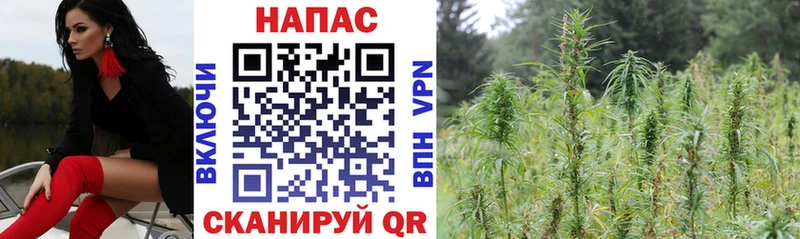 МАРИХУАНА THC 21%  кракен вход  Великий Новгород  купить  