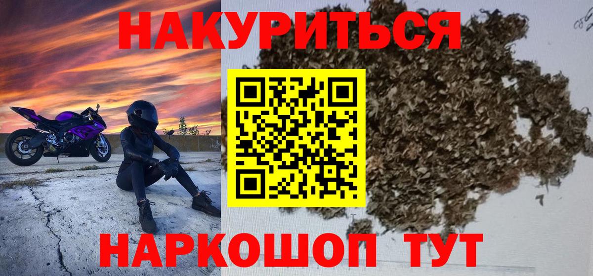 Каннабис Amnesia  Великий Новгород  Конопля сатива 